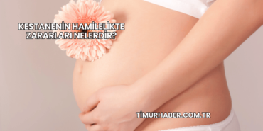 Kestanenin Hamilelikte Zararları Nelerdir?