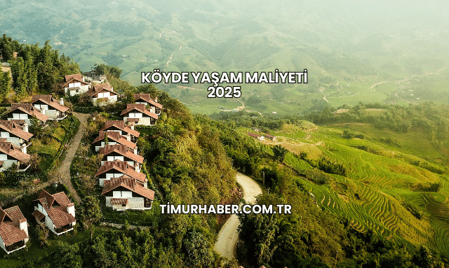 Köyde Yaşam Maliyeti 2025