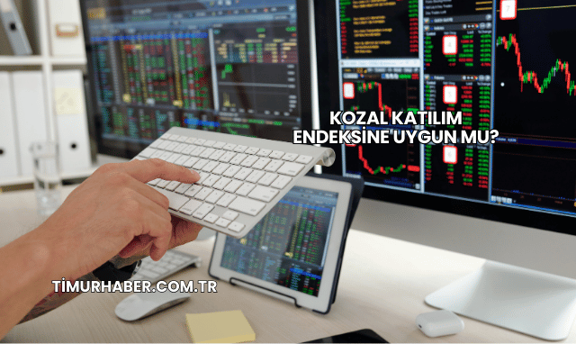 Kozal Katılım Endeksine Uygun mu?