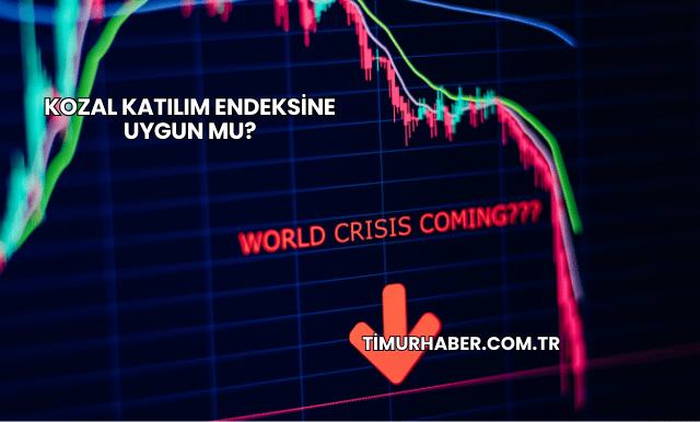 Kozal Katılım Endeksine Uygun mu?