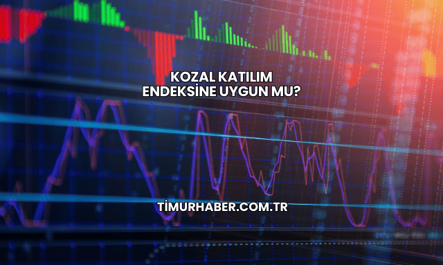 Kozal Katılım Endeksine Uygun mu?
