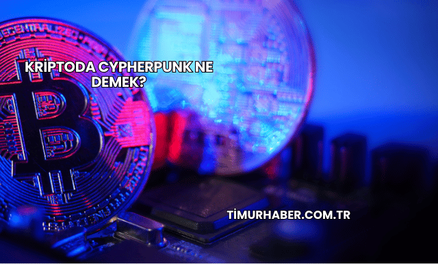 Kriptoda Cypherpunk Ne Demek?