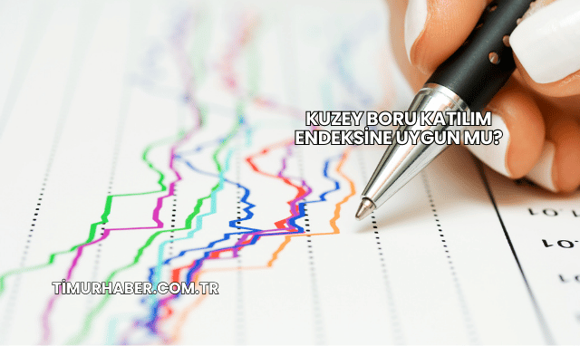 Kuzey Boru Katılım Endeksine Uygun mu?