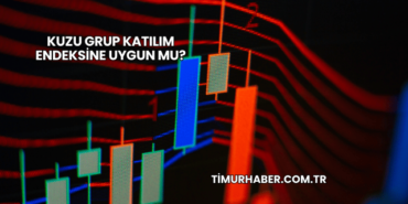 Kuzu Grup Katılım Endeksine Uygun mu?