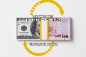 MIATK Katılım Endeksine Uygun mu?