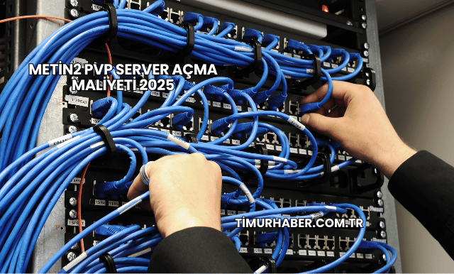 Metin2 PVP Server Açma Maliyeti 2025
