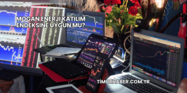 Mogan Enerji Katılım Endeksine Uygun mu?