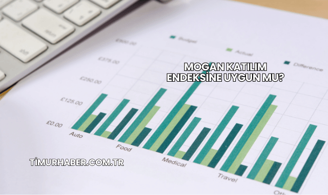 Mogan Katılım Endeksine Uygun mu?