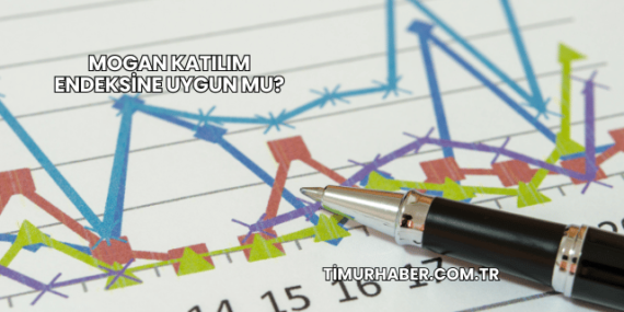 Mogan Katılım Endeksine Uygun mu?