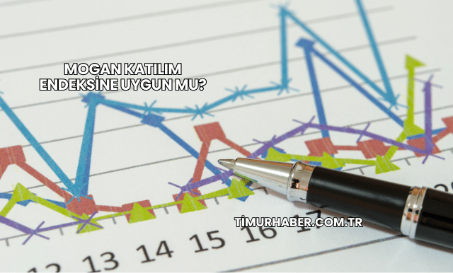 Mogan Katılım Endeksine Uygun mu?
