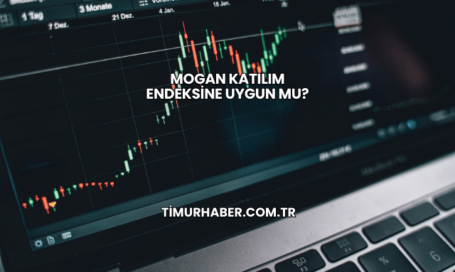 Mogan Katılım Endeksine Uygun mu?