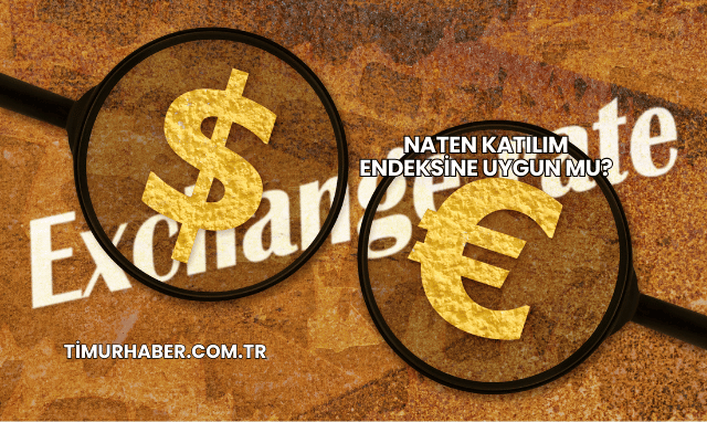 Naten Katılım Endeksine Uygun mu?