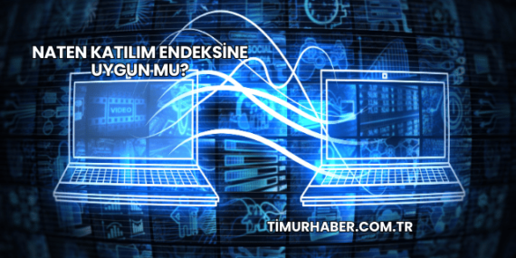 Naten Katılım Endeksine Uygun mu?