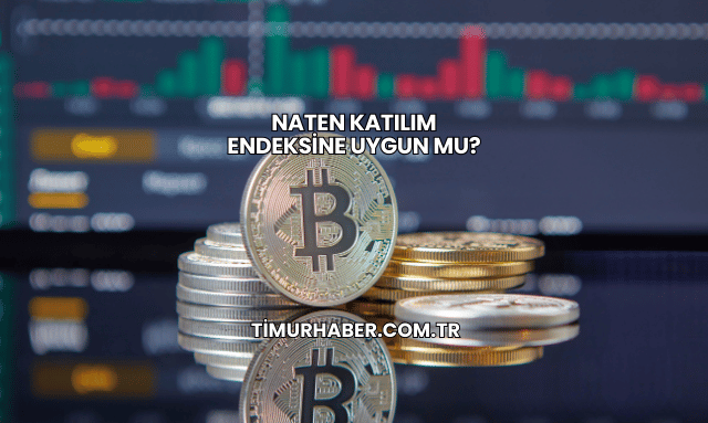 Naten Katılım Endeksine Uygun mu?