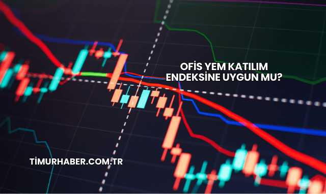 Ofis Yem Katılım Endeksine Uygun mu?