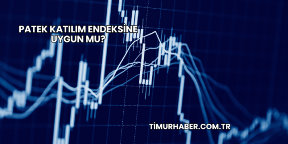 Patek Katılım Endeksine Uygun mu?
