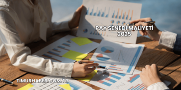 Pay Senedi Maliyeti 2025
