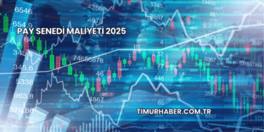 Pay Senedi Maliyeti 2025