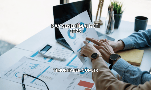 Pay Senedi Maliyeti 2025