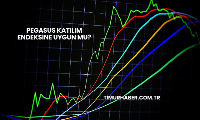 Pegasus Katılım Endeksine Uygun mu?