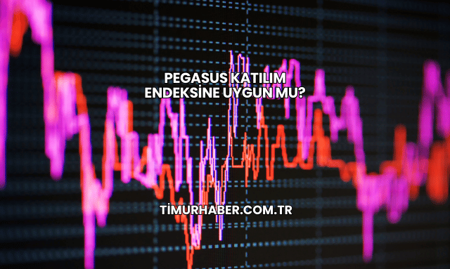 Pegasus Katılım Endeksine Uygun mu?