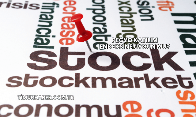 Pegyo Katılım Endeksine Uygun mu?