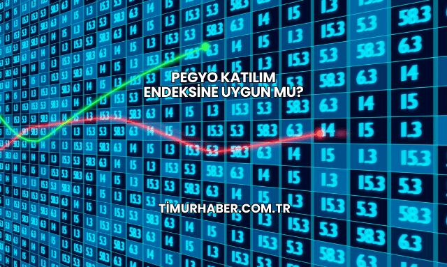 Pegyo Katılım Endeksine Uygun mu?