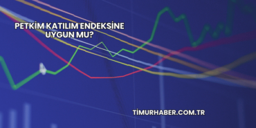 Petkim Katılım Endeksine Uygun mu?