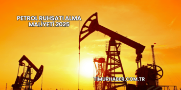 Petrol Ruhsatı Alma Maliyeti 2025