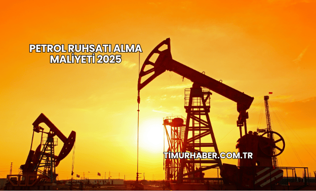 Petrol Ruhsatı Alma Maliyeti 2025
