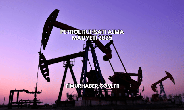 Petrol Ruhsatı Alma Maliyeti 2025