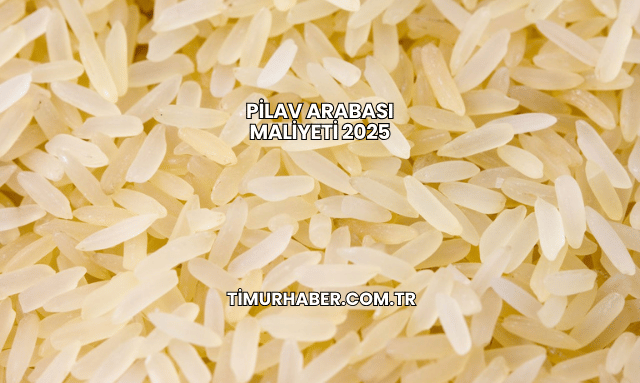 Pilav Arabası Maliyeti 2025