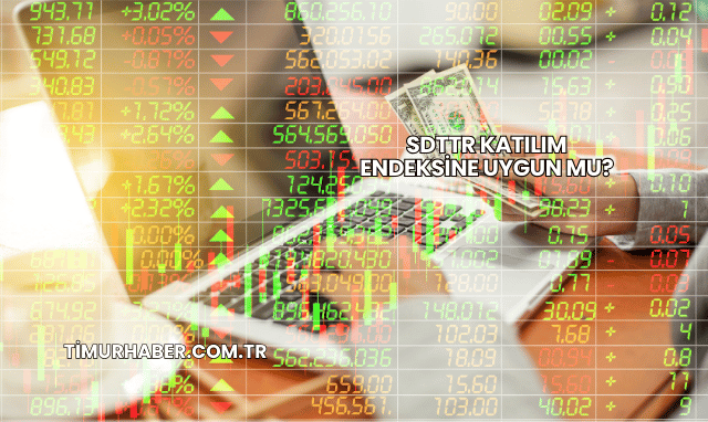 SDTTR Katılım Endeksine Uygun mu?