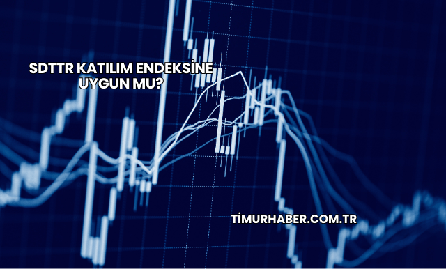 SDTTR Katılım Endeksine Uygun mu?