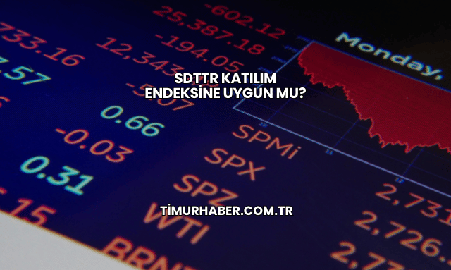 SDTTR Katılım Endeksine Uygun mu?
