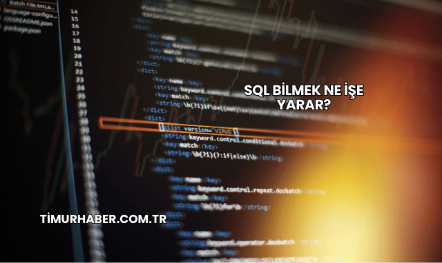 SQL Bilmek Ne İşe Yarar?