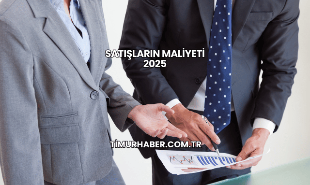 Satışların Maliyeti 2025