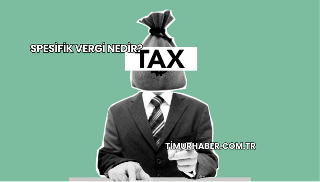 Spesifik Vergi Nedir?