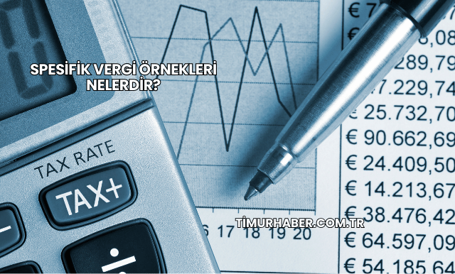 Spesifik Vergi Örnekleri Nelerdir?