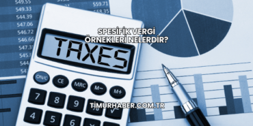 Spesifik Vergi Örnekleri Nelerdir?