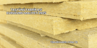 Taşyünü Fabrikası Kurulumu Maliyeti 2025