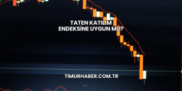 Taten Katılım Endeksine Uygun mu?