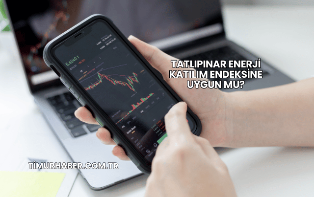 Tatlıpınar Enerji Katılım Endeksine Uygun mu?