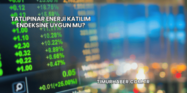 Tatlıpınar Enerji Katılım Endeksine Uygun mu?