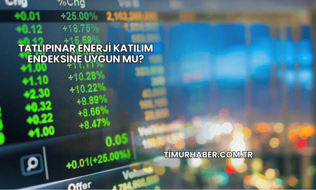 Tatlıpınar Enerji Katılım Endeksine Uygun mu?