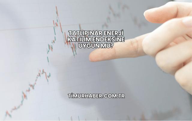 Tatlıpınar Enerji Katılım Endeksine Uygun mu?