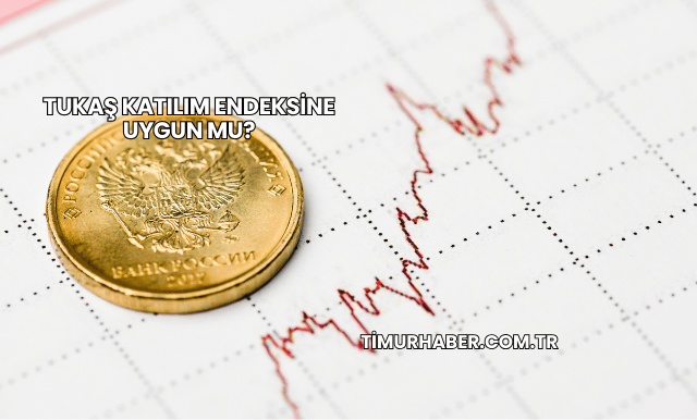 Tukaş Katılım Endeksine Uygun mu?