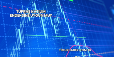 Tüpraş Katılım Endeksine Uygun mu?