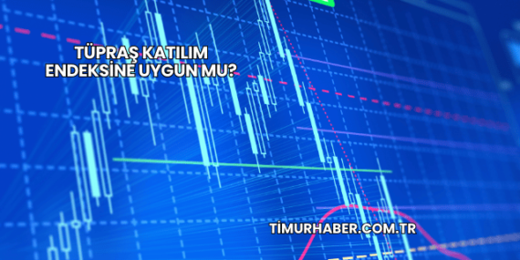 Tüpraş Katılım Endeksine Uygun mu?