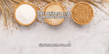 Un Fabrikası Açma Maliyeti 2025